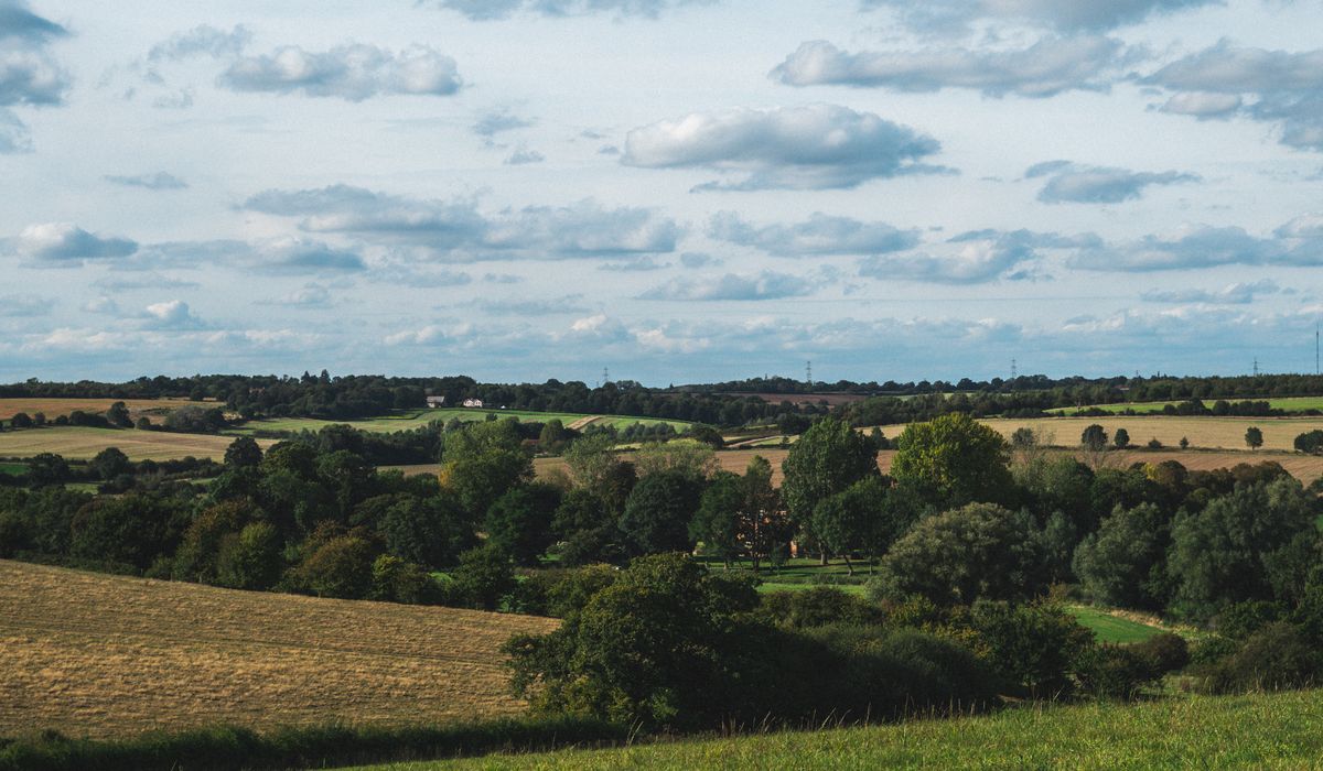 Understanding the Roundel and Square Kiln in Traditional Oast Houses